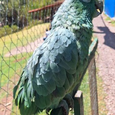 WhatsApp Image 2023-09-10 at 11.57.42 AM (1)